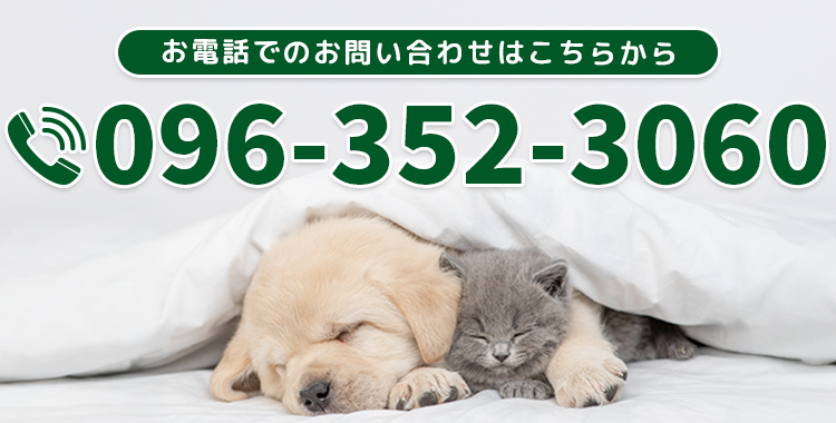 お電話でのお問い合わせはこちら【電話番号】096-352-3060 【休診日】土曜午後、日曜日、祝日