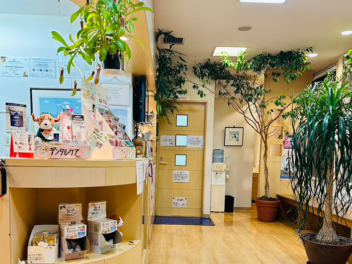 よもぎ動物病院