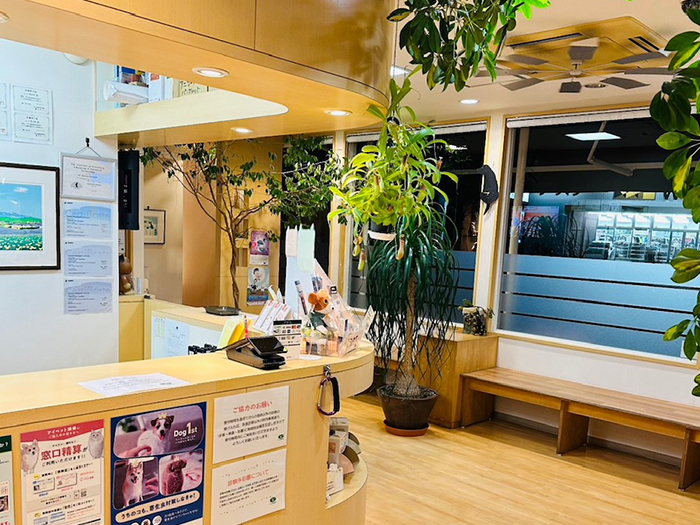 よもぎ動物病院