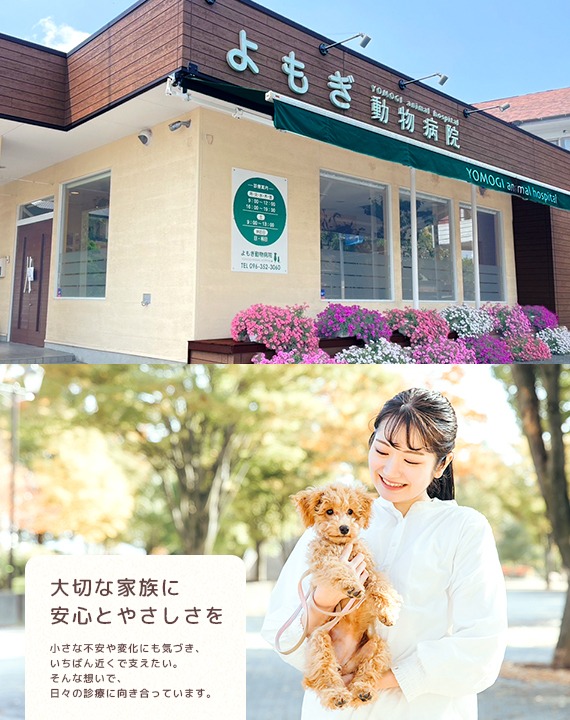 大切な家族に安心とやさしさを 小さな不安や変化にも気づき、いちばん近くで支えたい。そんな想いで、日々の診療に向き合っています。