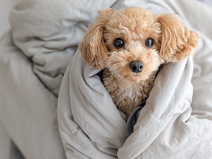 つねに学び、より良い医療を